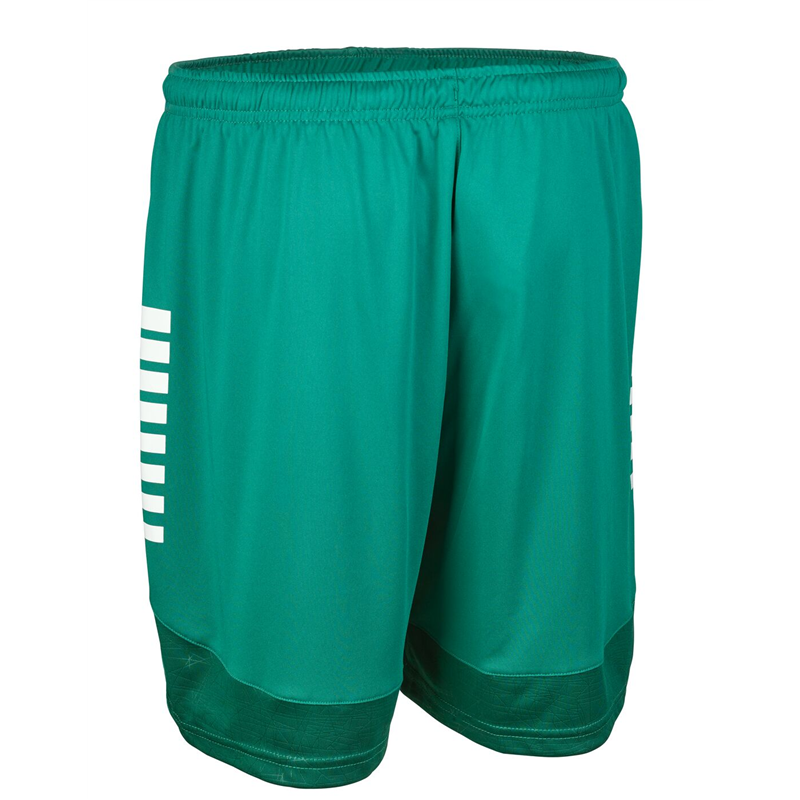SV Niederau Shorts Herren grün/weiss