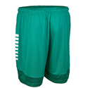 SV Niederau Shorts Herren grün/weiss