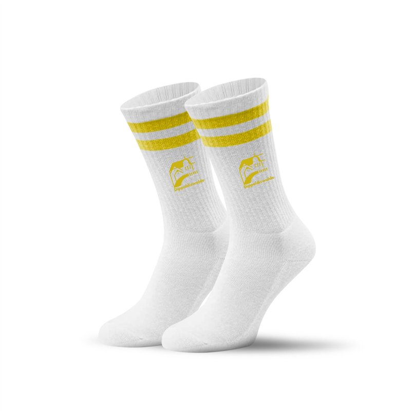 SG Bühlau  Socken weiss/blau