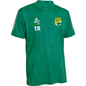 SV Niederau Training T-Shirt Herren grün/weiss