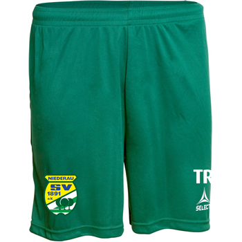 SV Niederau Training Shorts Herren grün/weiss