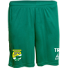 SV Niederau Training Shorts Herren grün/weiss