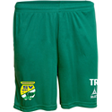 SV Niederau Training Shorts Kinder grün/weiss