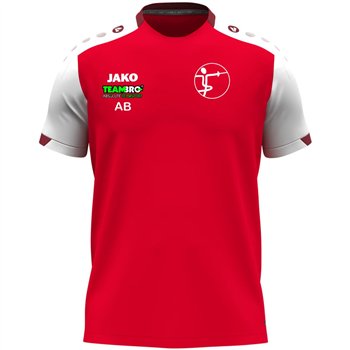 DFC 1998 Trainingsshirt Herren