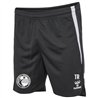 hummel hmlLEAD 2.0 SHORTS Male