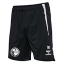 hummel hmlLEAD 2.0 TRAINING SHORTS Male