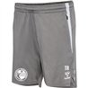 hummel hmlLEAD 2.0 TRAINING SHORTS WOMAN Female