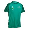 Trikot Kurzarm Spain v25