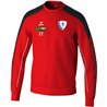 SV DD-Mitte Trainingspullover Unisex