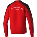 SV DD-Mitte Trainingspullover Unisex