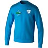 SV DD-Mitte Trainingspullover Unisex