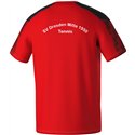 SV DD-Mitte Trainingsshirt Herren