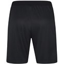 SG 90 Braunsdorf Trainingshose kurz Damen