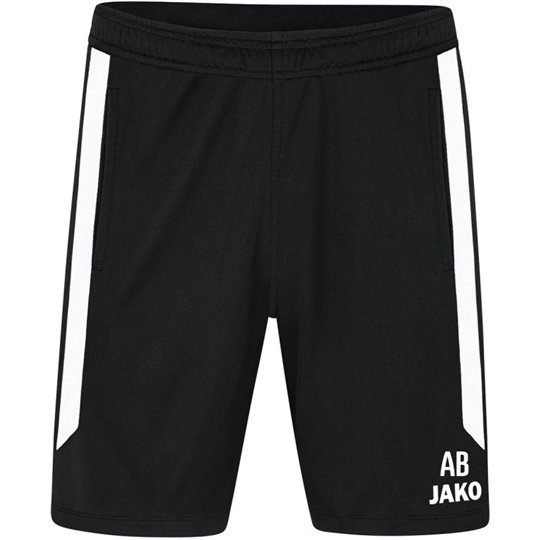 SG 90 Braunsdorf Trainingshose kurz Kinder