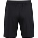 SG 90 Braunsdorf Trainingshose kurz Kinder