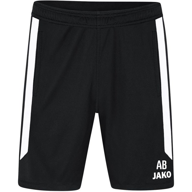SG 90 Braunsdorf Trainingshose kurz Herren