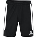 SG 90 Braunsdorf Trainingshose kurz Herren