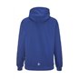 "Dresdner Eislöwen Juniors" Hoodie Junior