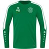 Hetzdorfer SV Kinder Sweat grün