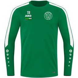 Hetzdorfer SV Herren Sweat grün