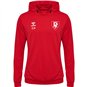 hummel hmlAUTHENTIC PL HOODIE Male