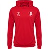 hummel hmlAUTHENTIC PL HOODIE Male