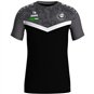 SG Stahl Schmiedeberg T-Shirt Iconic Herren