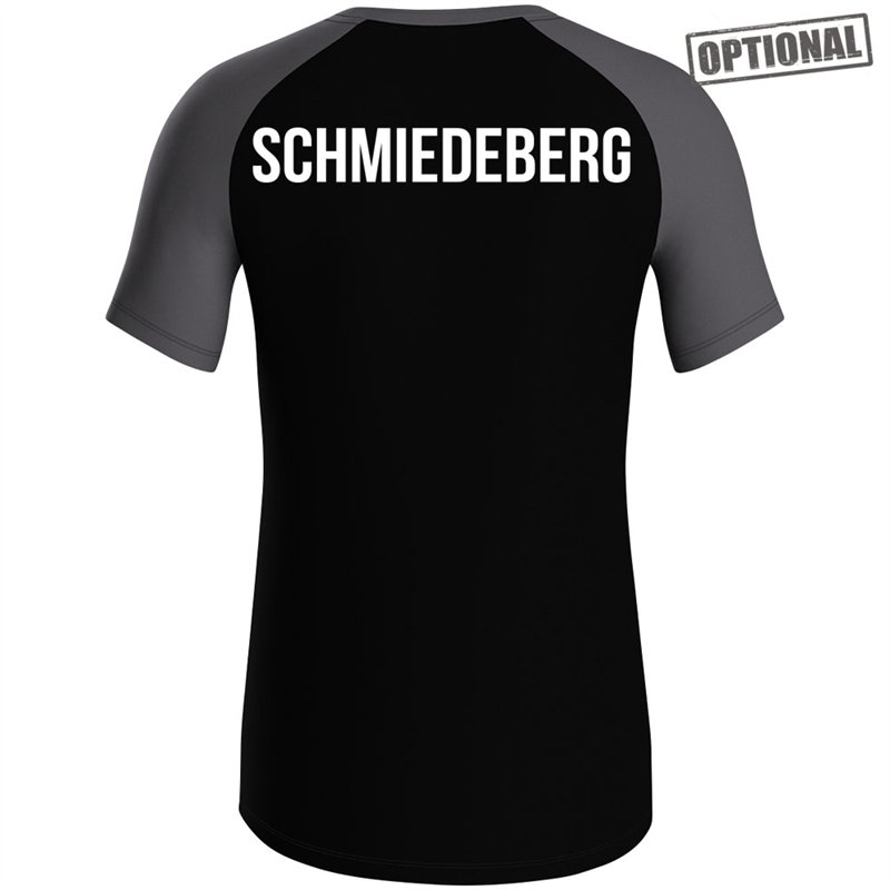 SG Stahl Schmiedeberg T-Shirt Iconic Herren