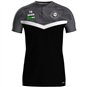 SG Stahl Schmiedeberg Polo Iconic Unisex