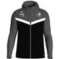 SG Stahl Schmiedeberg Kapuzenjacke Iconic Herren