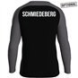 SG Stahl Schmiedeberg Sweat Iconic Kinder