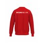 DSC Verein Sweatshirt Kinder