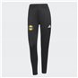 Adidas ENT26 TR PNT W WOMEN