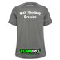 MSV Handball Dresden Trainingsshirt Polyester Kinder