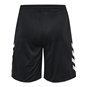 MSV Handball Dresden Trainingshose kurz Herren