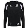MSV Handball Dresden Trainingspullover (Rundhals) Polyester Kinder