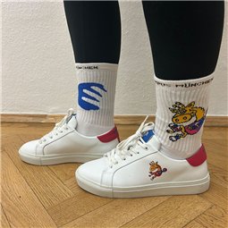 HCM Socken