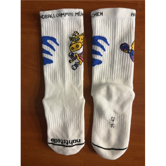 HCM Socken
