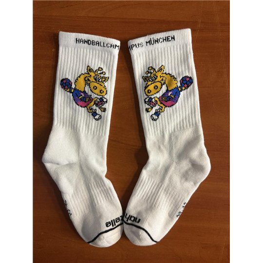 HCM Socken
