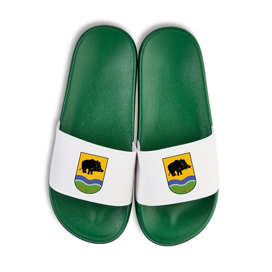 SV Grün-Weiß Ebersbach  Badelatschen grün