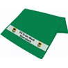 SV Grün-Weiß Ebersbach  Handtuch grün