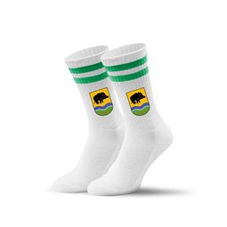 SV Grün-Weiß Ebersbach  Socken weiss/grün