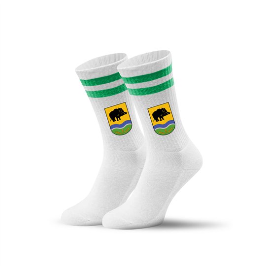 BC Dresden Socken mit Logo