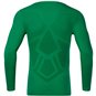 SV Grün-Weiß Ebersbach Longsleeve Herren