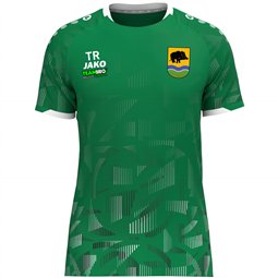 SV Grün-Weiß Ebersbach Trikot Erwachsene grün