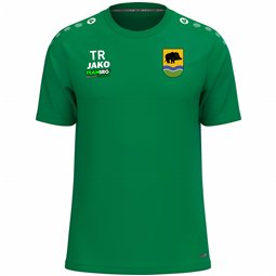 SV Grün-Weiß Ebersbach Trainings T-shirt Herren sportgrün