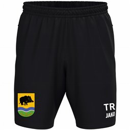 SV Grün-Weiß Ebersbach Trainingsshort Kinder schwarz