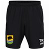 SV Grün-Weiß Ebersbach Trainingsshort Herren schwarz