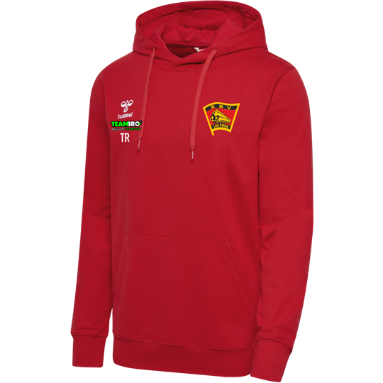 ESV Lok Pirna Hoodie Kinder