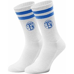 TSV Blau-Weiß Gröditz Socken weiß/blau